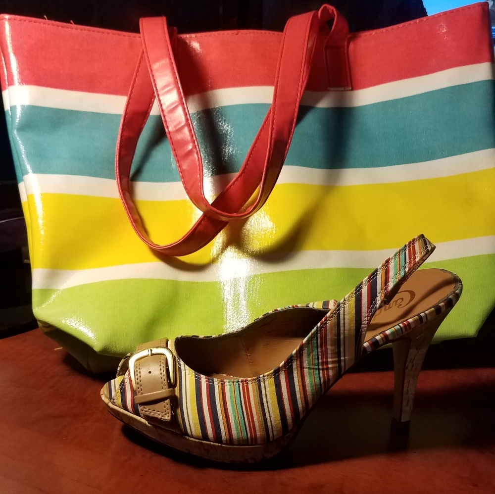 Purse and shoes $12